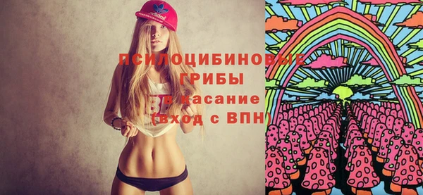 герыч Мегион