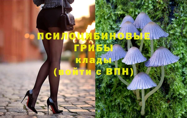 мяу мяу мука Армянск
