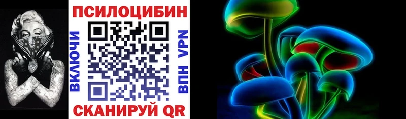 Галлюциногенные грибы Psilocybine cubensis  Саянск 