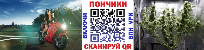 Конопля OG Kush  гидра ССЫЛКА  Саянск 